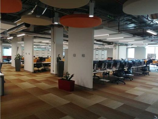 Bureau à Guadalupe, Goicoechea