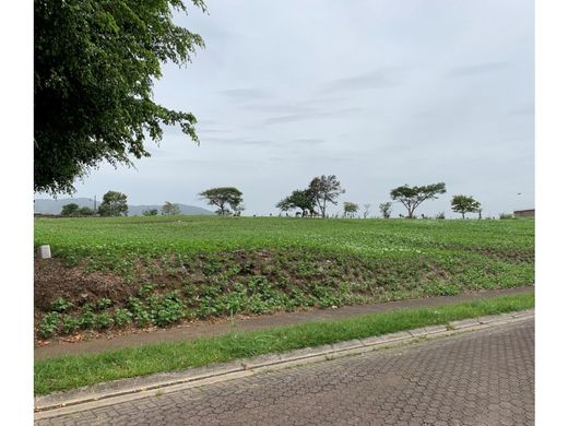 Land in Belén, Carrillo