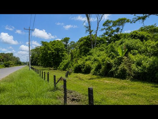 Land in Limón, Cantón de Limón