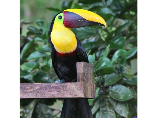 Land in Orotina, Provincia de Alajuela