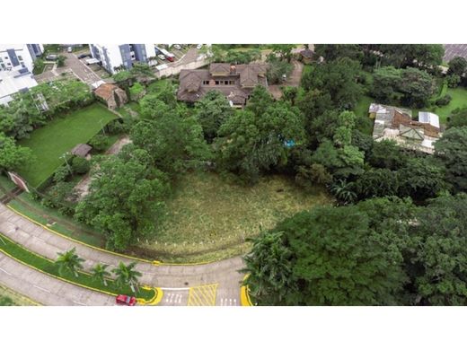 Teren w Belén, Carrillo