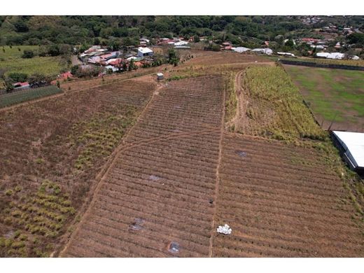 Land in Grecia, Provincia de Alajuela