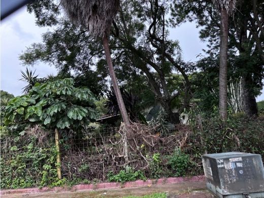 Teren w Belén, Carrillo