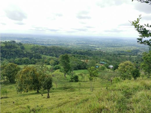 Rustik ya da çiftlik San Ramón, Provincia de Alajuela