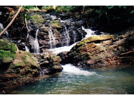 Teren w Osa, Provincia de Puntarenas