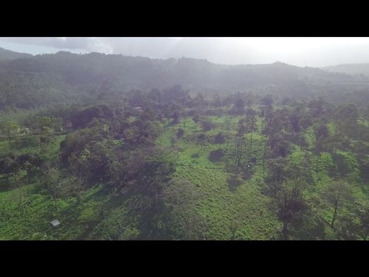 Boerderij in Dos de Abangares, Abangares