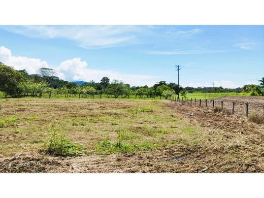 Αγροτεμάχιο σε Quepos, Provincia de Puntarenas