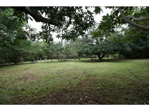 Ferme à Orotina, Provincia de Alajuela