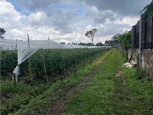 Terreno - Santo Domingo, Provincia de Heredia