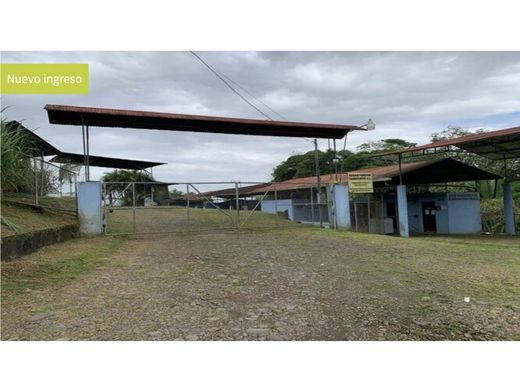 Quinta rústica - Alajuela, Provincia de Alajuela