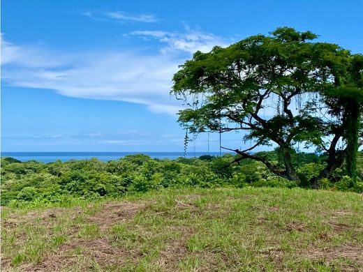 Grundstück in Nosara, Nicoya