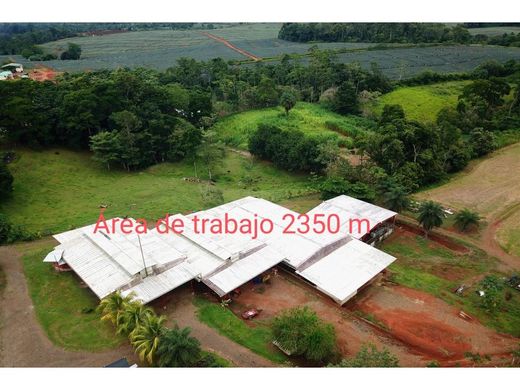 Gutshaus oder Landhaus in Upala, Provincia de Alajuela