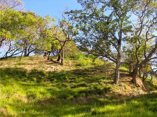 Land in Santa Ana, Provincia de San José