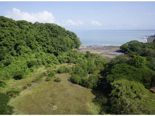 Teren w Agujas, Golfito