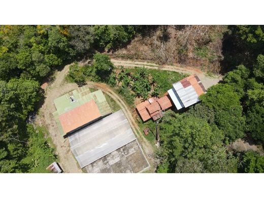 Land for sale in San Isidro del General