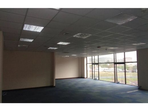 사무실 / Escazú, Provincia de San José