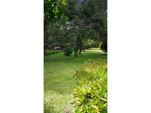 Grundstück in Escazú, Provincia de San José