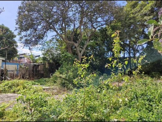 Terreno en Mata de Palo, Cantón de San José