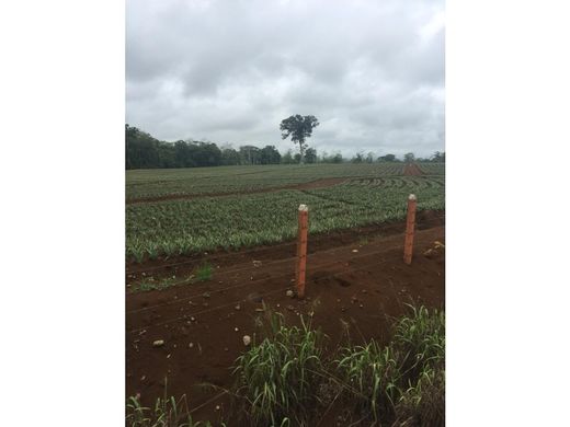 Ferme à Heredia, Cantón de Heredia