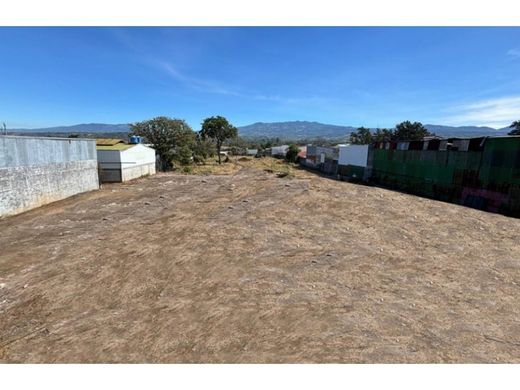 Terrain à Echeverría, Flores