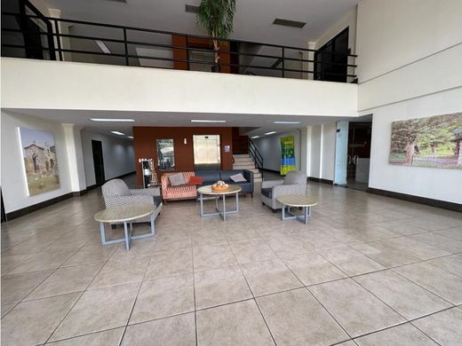 사무실 / Escazú, Provincia de San José