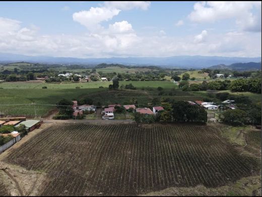 Ferme à Grecia, Provincia de Alajuela