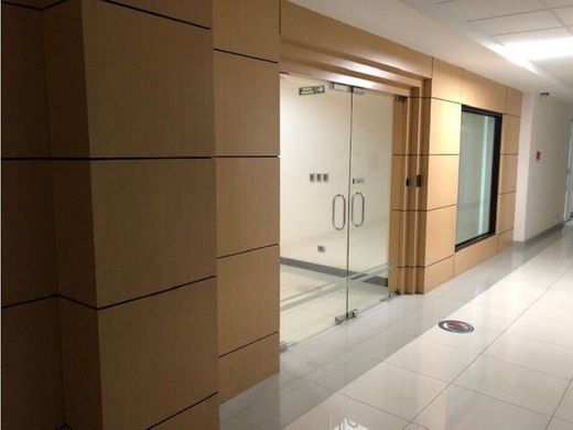 사무실 / 산호세, Cantón de San José