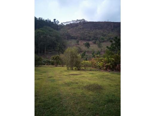 ‏קרקע ב  Paraíso, Provincia de Cartago