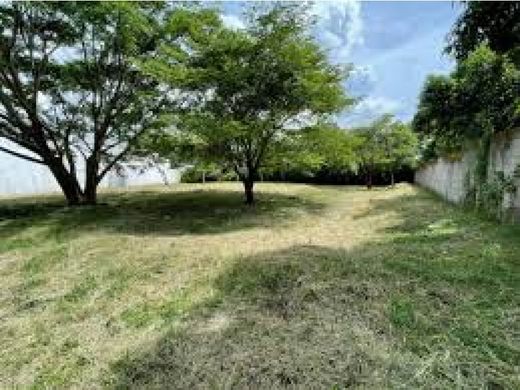 Land in Santa Ana, Provincia de San José