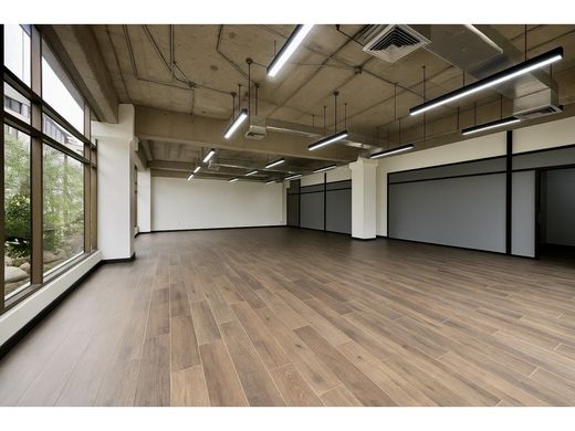 Mata de Palo, Cantón de San Joséのオフィス