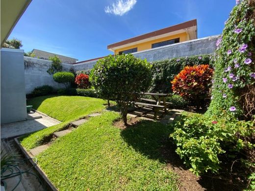 호화 저택 / 산호세, Cantón de San José