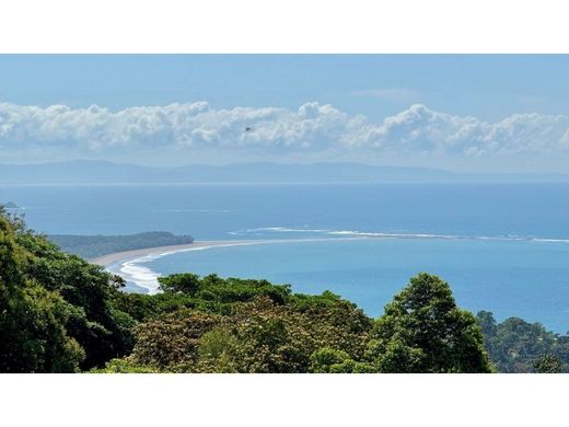 토지 / Osa, Provincia de Puntarenas