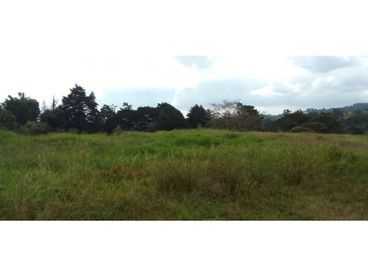 Terreno en San Josecito, San Isidro