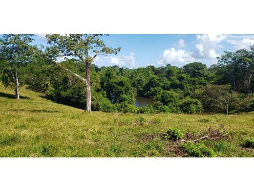 Cortijo o casa de campo en Sarapiquí, Provincia de Heredia