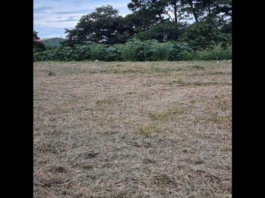 Land in San José, Cantón de San José