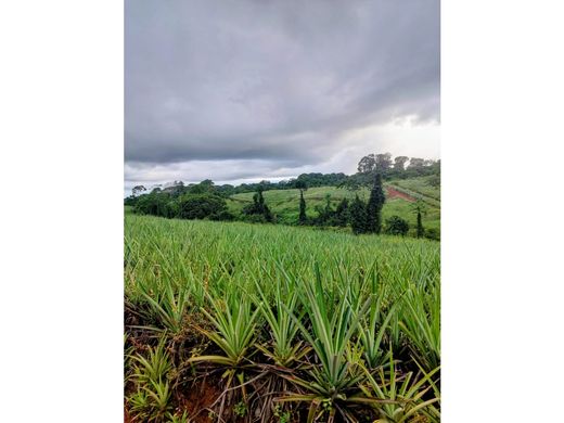 Cortijo o casa de campo en Sarapiquí, Provincia de Heredia