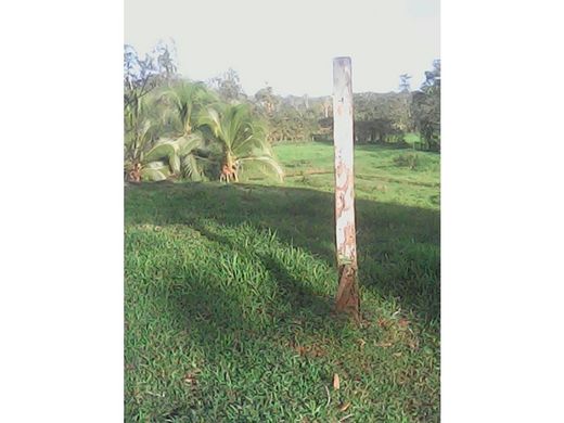 토지 / Siquirres, Provincia de Limón