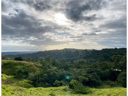 Ferme à Puerto Limón, Cantón de Limón