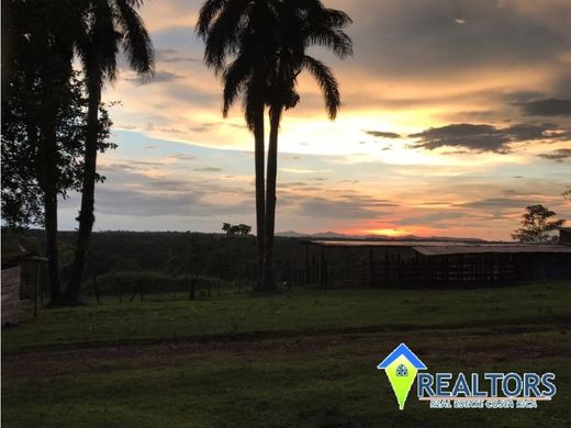 Boerderij in La Cruz, Acosta