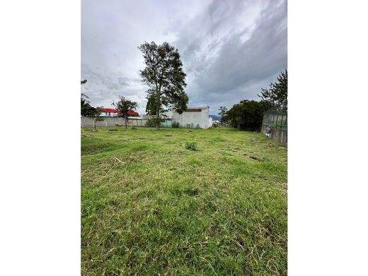 Grond in Cartago, Cantón de Cartago