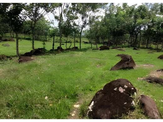 Quinta rústica - Guápiles, Pococí