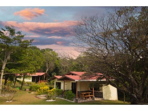 호텔 / Monte Verde, Cantón de Puntarenas