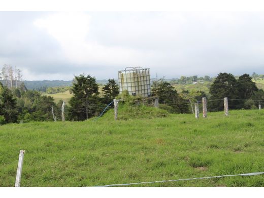 Grond in San Vicente de Moravia, Moravia