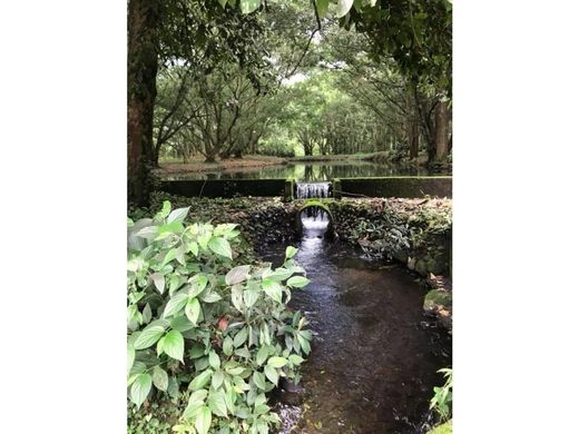 Boerderij in Florencia, Turrialba