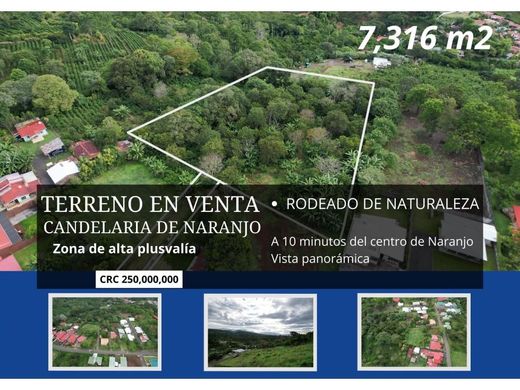 地皮  Naranjo, Provincia de Alajuela