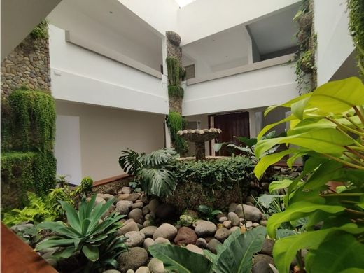 호화 저택 / Escazú, Provincia de San José