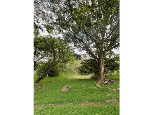 Αγροτεμάχιο σε Colón, Mora