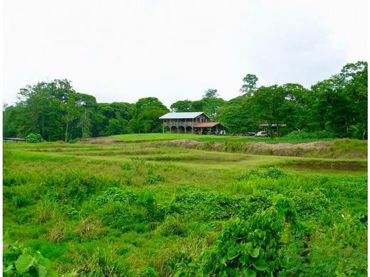 Boerderij in Guápiles, Pococí