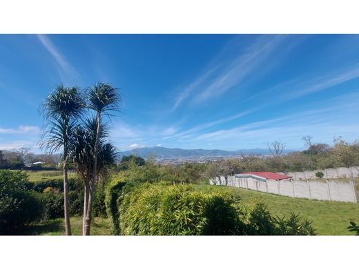 Apartament w San Rafael, Carrillo