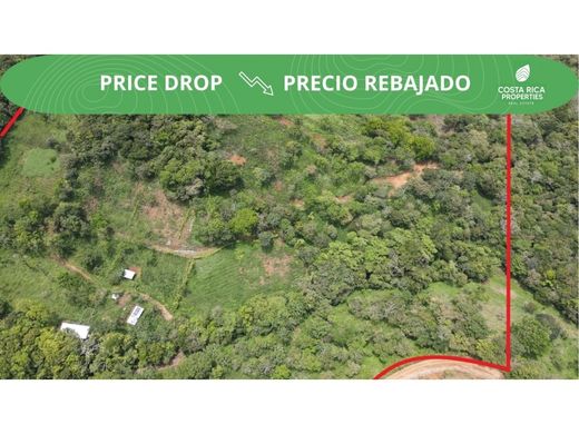 Rustik ya da çiftlik San Ramón, Provincia de Alajuela